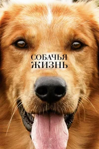Собачья жизнь бесплатно в HD