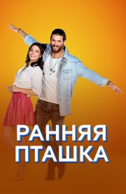 Ранняя пташка бесплатно