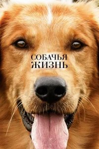Собачья жизнь бесплатно в HD